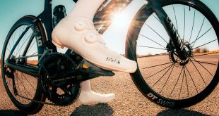 Fizik vega carbon shoes