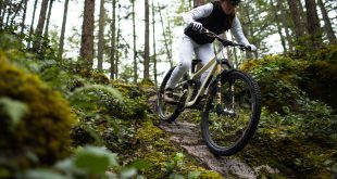 FOX 36 Gracey Hemstreet Silverfish Announces new and updated Fox products for 2026