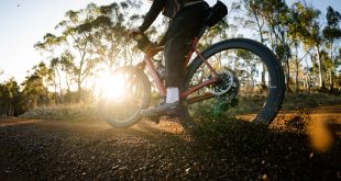 Santa Cruz Stigmata MY24 BH Tasmania LOW 80 1 The Rise of Reserve: The Story Behind the Premium Wheel Brand