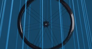 Campagnolo Shamal Wheels